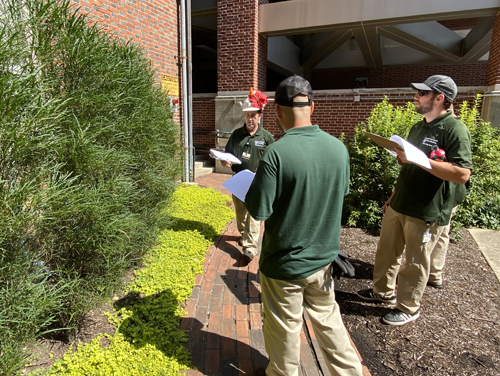 Dan Bangert stands in front of several plants in a courtyard. Nick Sambucetti and Blake Sieminski hold clipboards and examine the plants.